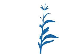 Teamsters Local 238 logo